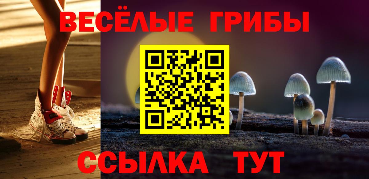 как найти наркотики  Псилоцибиновые грибы Psilocybine cubensis  Вход с VPN  Галлюциногенные грибы Magic Shrooms  Дербент 